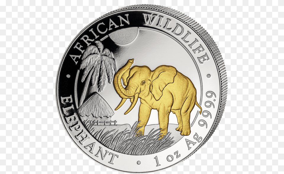Official Somalia Silver Elephant Quotgildedquot Silver, Animal, Mammal, Wildlife, Coin Free Png Download