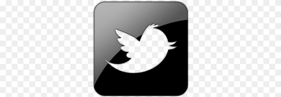 Official Twitter Icon Twitter Icon, Silhouette, Logo, White Board Free Transparent Png