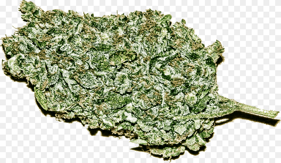 Og Kush, Leaf, Plant, Weed, Grass Free Png Download