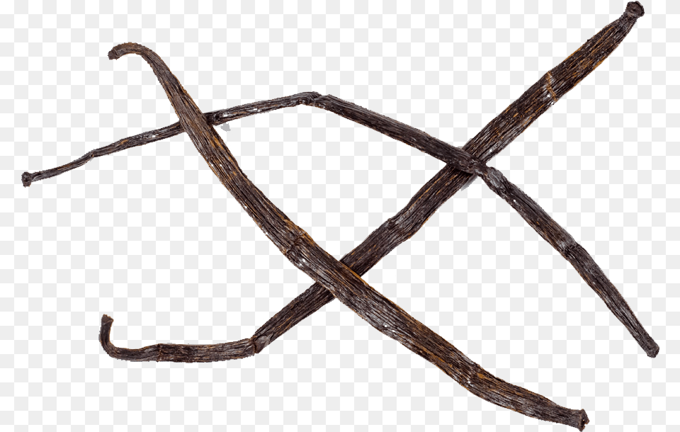 Og Vanilla Beans Insect, Wood, Blade, Dagger, Knife Free Transparent Png