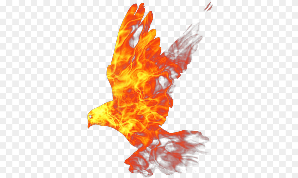 Ogon Plamya Ognennaya Ptica Golub Fire Fire, Flame, Adult, Female, Person Free Png