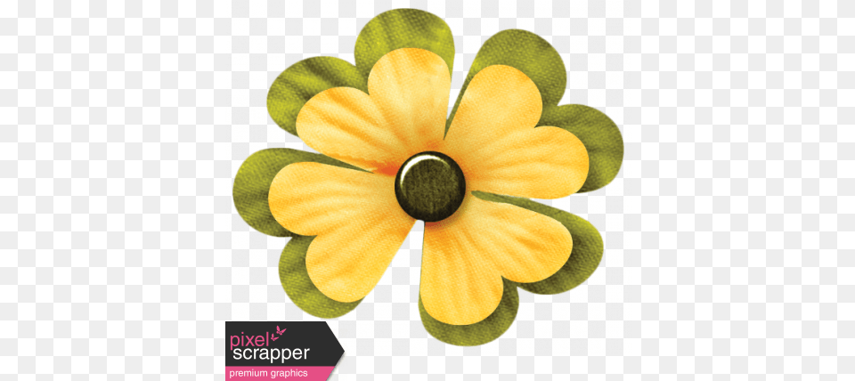 Oh Lucky Day Lovely, Accessories, Plant, Flower, Anemone Free Png Download