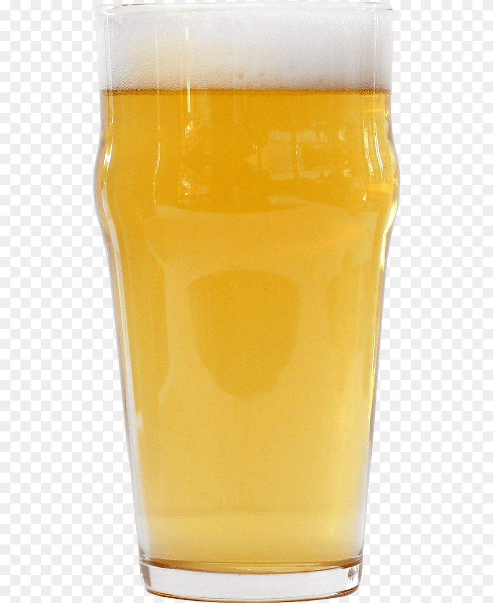 Oh My Gatos Golden Ale, Alcohol, Beer, Beer Glass, Beverage Free Png