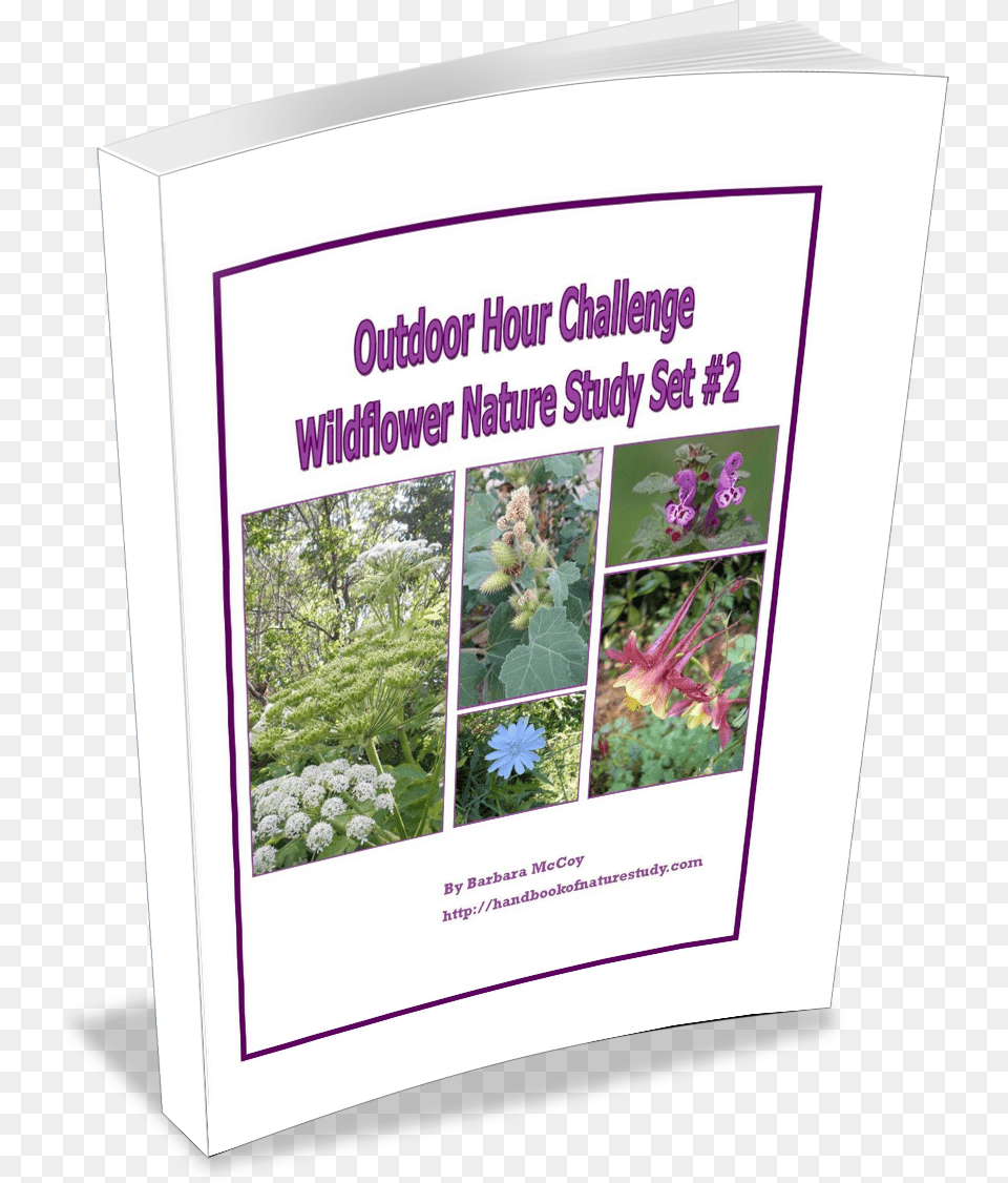 Ohc Wildflower Set 2 Handbookofnaturestudy, Advertisement, Herbal, Herbs, Plant Png Image