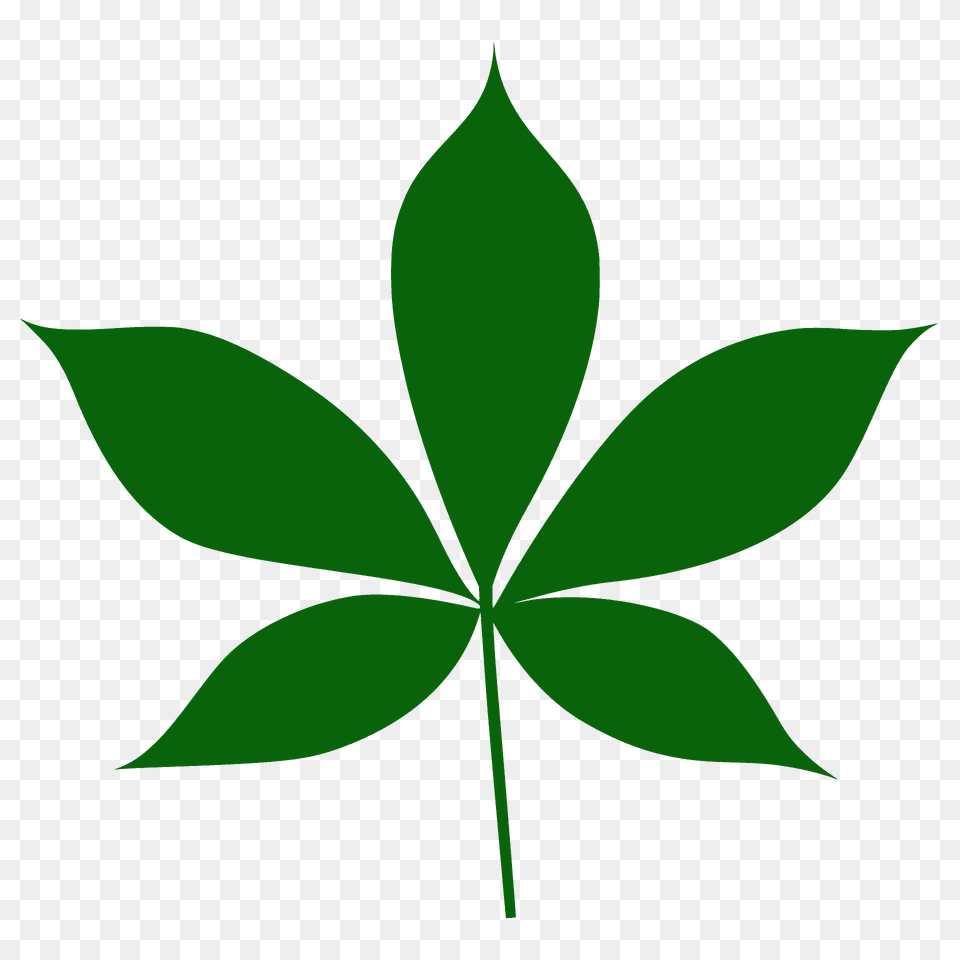 Ohio Buckeye Leaf Silhouette, Green, Plant Free Png