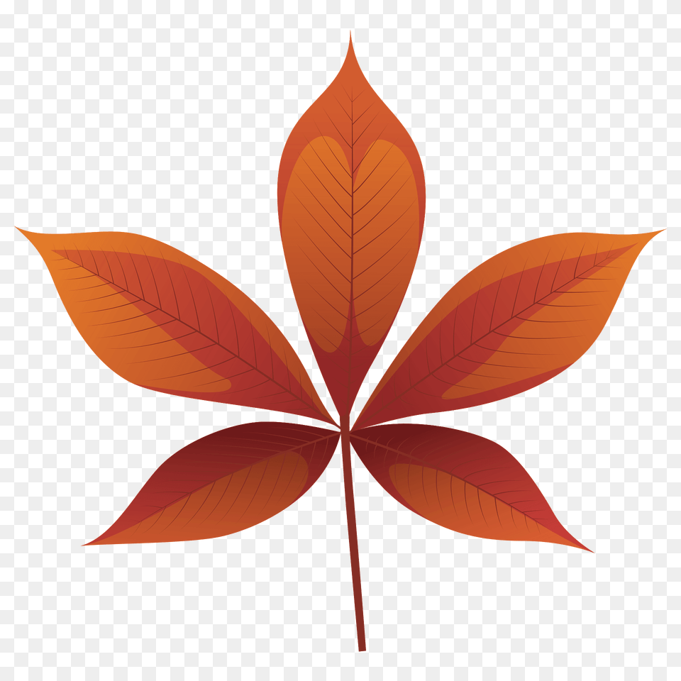 Ohio Buckeye Red Leaf Clipart, Plant, Tree Free Transparent Png