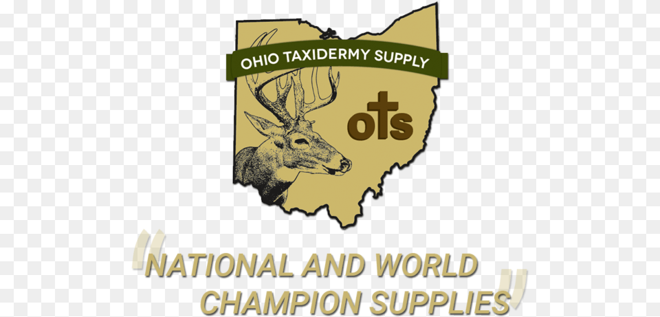 Ohio Shape, Animal, Deer, Mammal, Wildlife Png Image