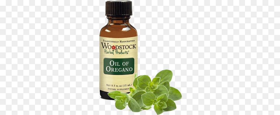 Oil Of Oregano Main Picture, Herbal, Herbs, Plant, Food Free Transparent Png