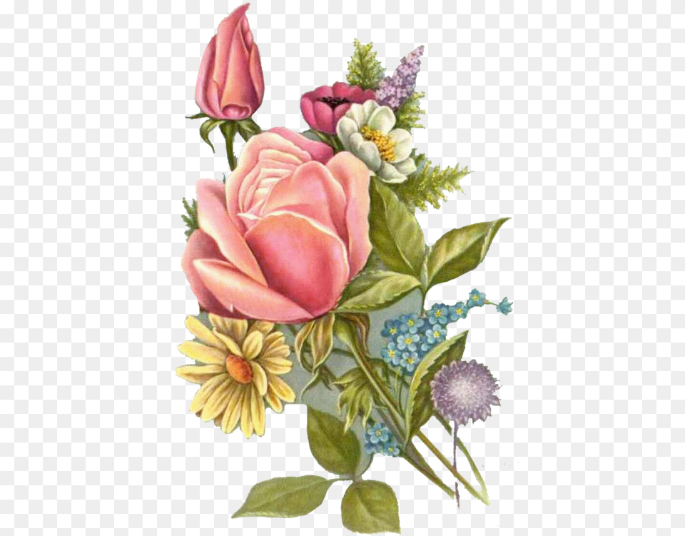 Oil Painting Flowers, Rose, Plant, Flower, Pattern Free Transparent Png