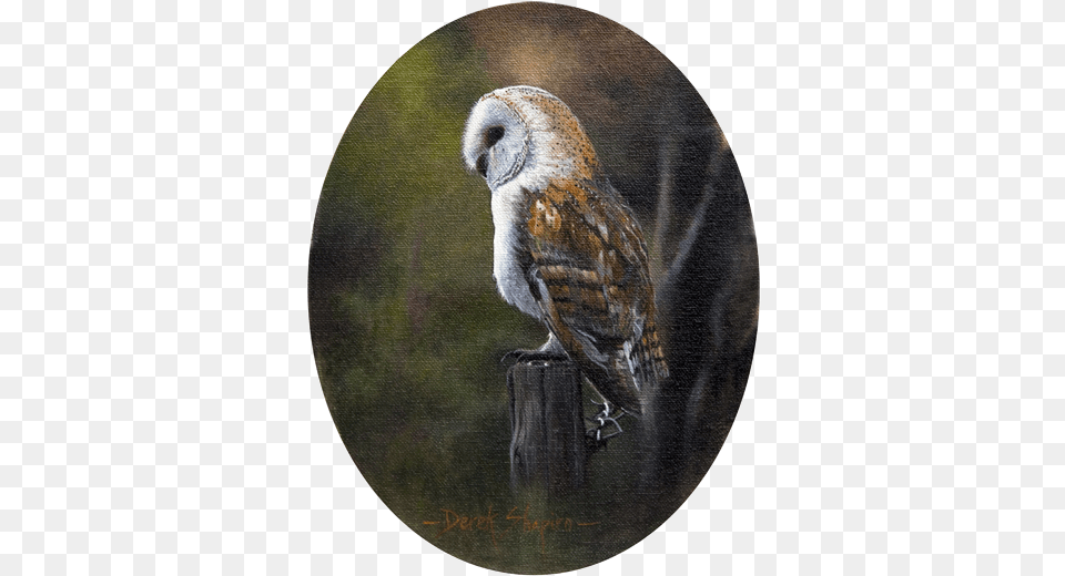 Oil Painting Of A Barn Owl Perched On A Post Barn Owl, Animal, Bird, Photography Free Png