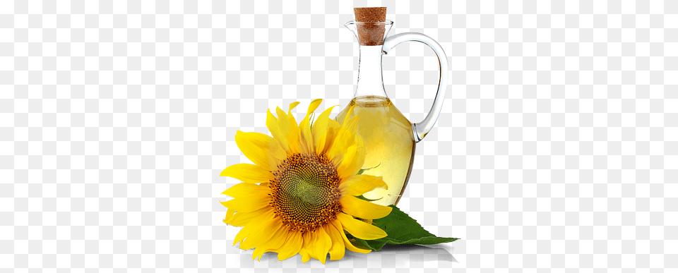 Oil Vitamin E Lotion Sunflower Oil, Flower, Plant, Cooking Oil, Food Free Png