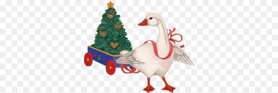 Oiseaux Noel Goose, Animal, Bird, Waterfowl, Christmas Free Png