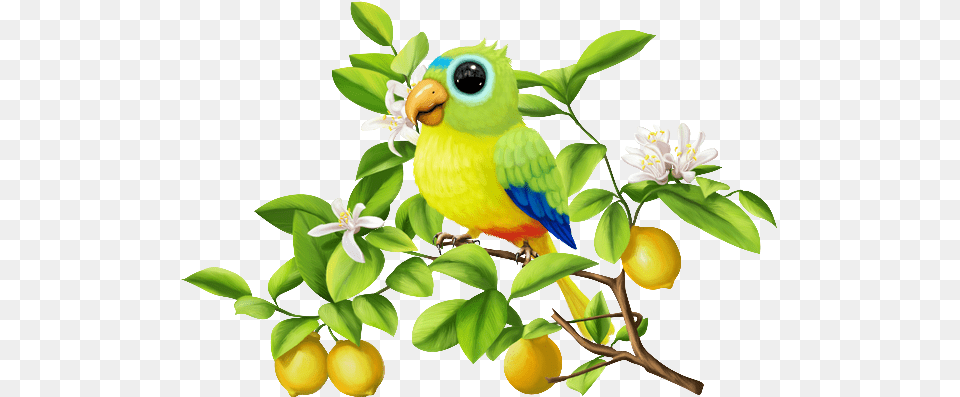 Oiseauxbirds Klipart Clip Art And Craft, Animal, Bird, Parakeet, Parrot Free Png Download
