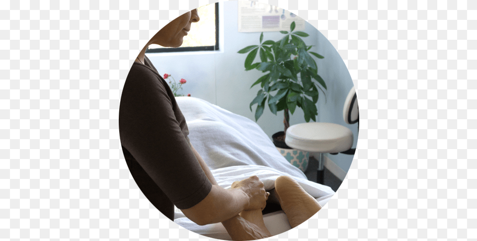 Ojai Lymphatic Therapy Comfort, Adult, Plant, Person, Patient Png Image