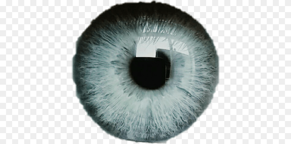 Ojo Pupila Azul Blue White Ojos Ojos Negros Picsart, Cushion, Hole, Home Decor, Pillow Png