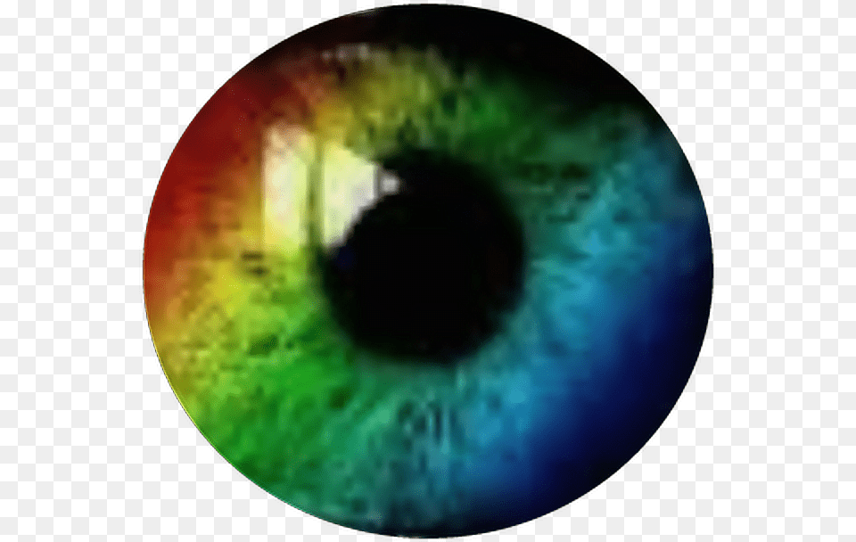 Ojos Colores Ojos De Colores, Disk, Head, Person Free Transparent Png