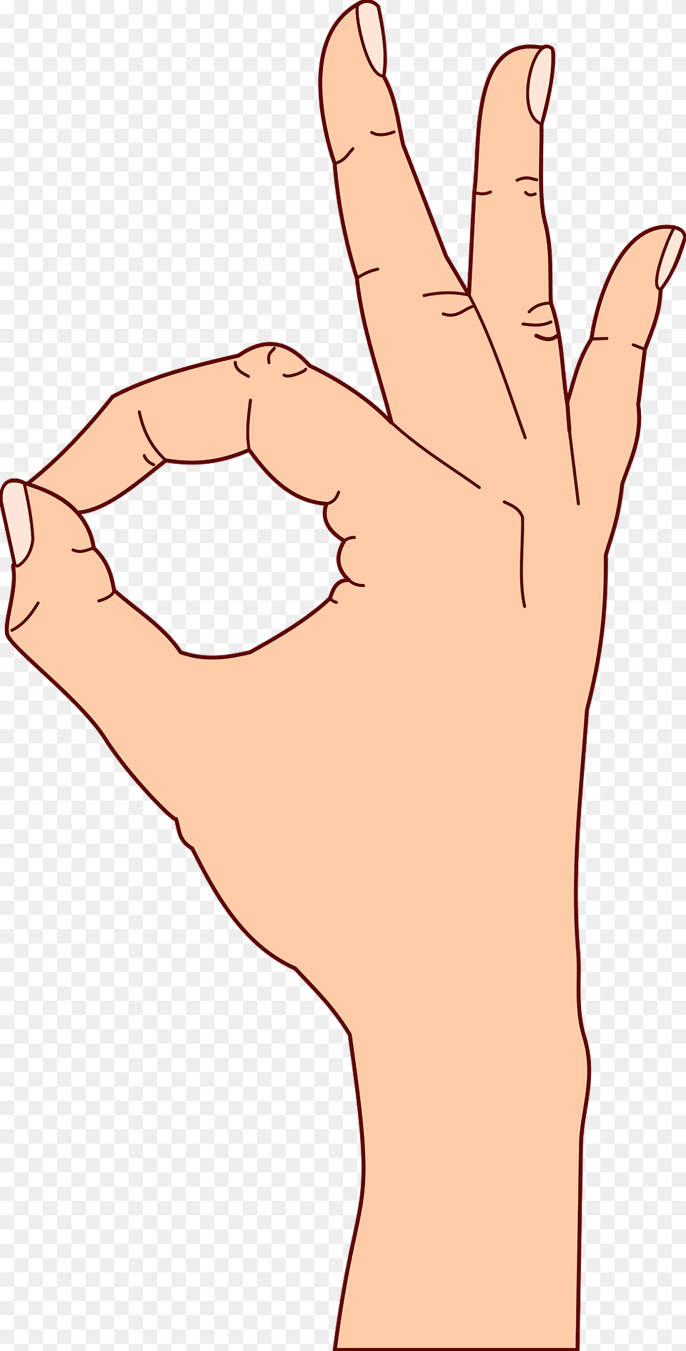 Ok Clipart, Body Part, Finger, Hand, Person Png Image