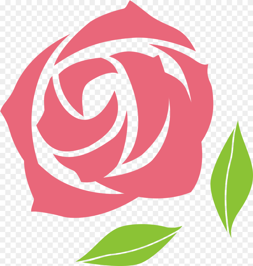 Ok Rose, Flower, Plant, Adult, Female Free Png
