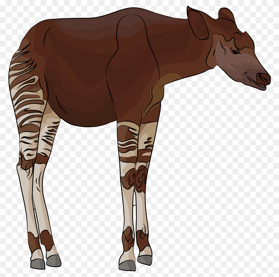 Okapi Clipart, Animal, Mammal, Clothing, Footwear Free Png