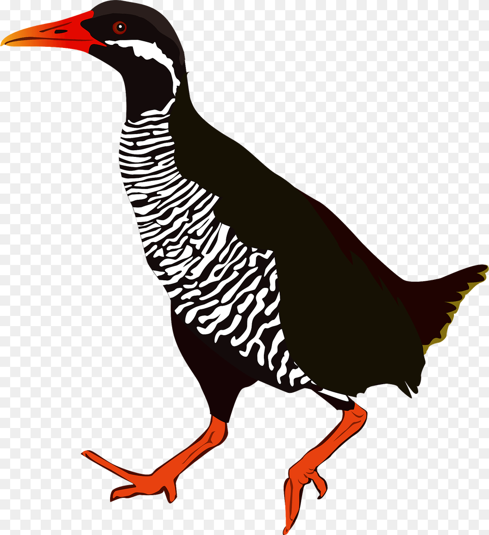 Okinawa Rail Bird Clipart, Animal, Beak, Partridge, Quail Png Image