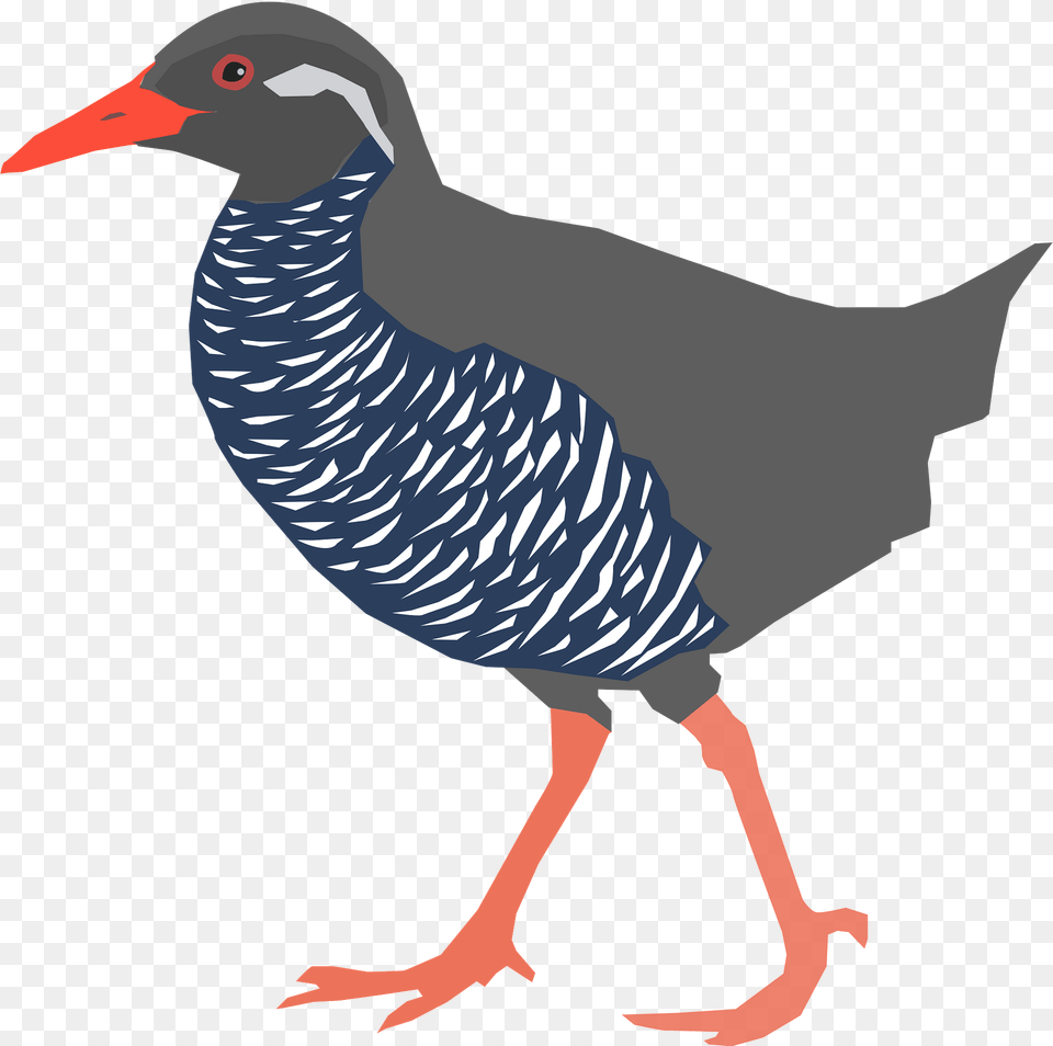 Okinawa Rail Clipart, Animal, Bird, Partridge, Beak Free Transparent Png