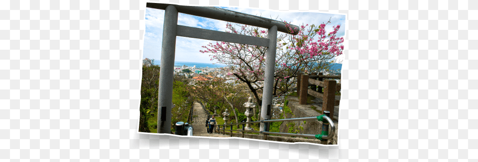 Okinawanago Park Okinawa Prefecture, Arbour, Garden, Outdoors, Nature Free Png