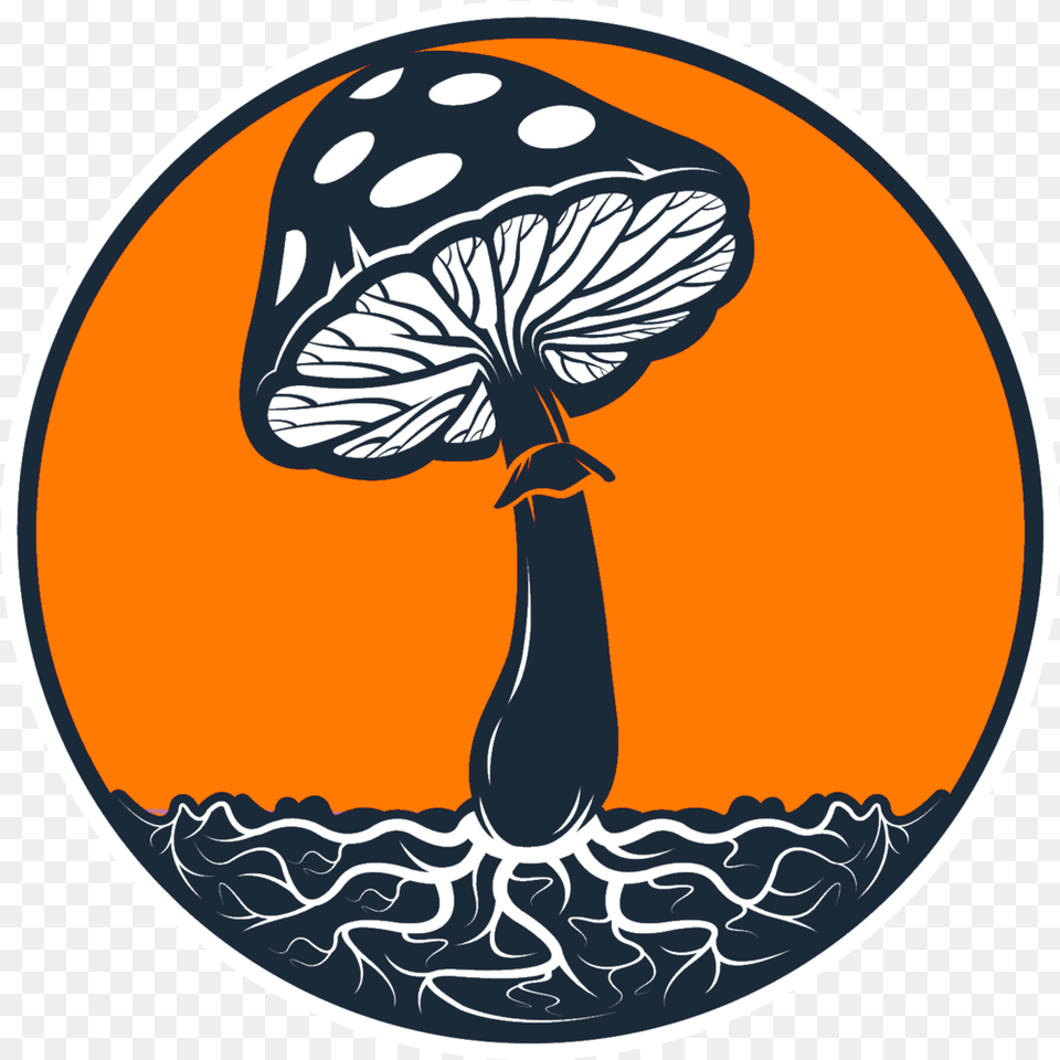 Oklahoma Psilocybin Initiative Mushrooms Icon, Agaric, Fungus, Mushroom, Plant Free Transparent Png