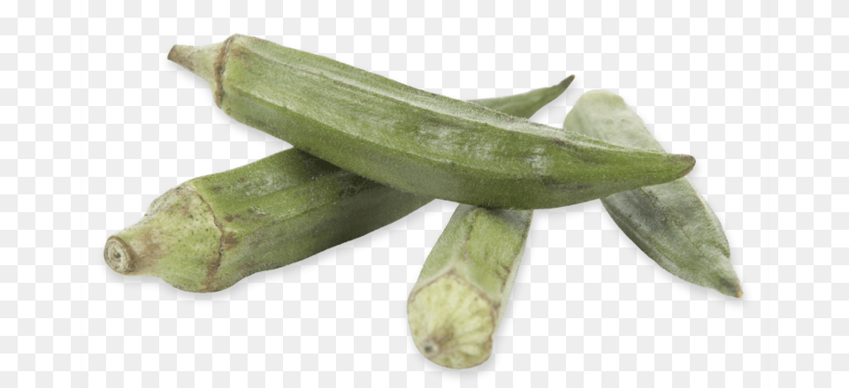 Okra, Food, Produce, Plant, Vegetable Png