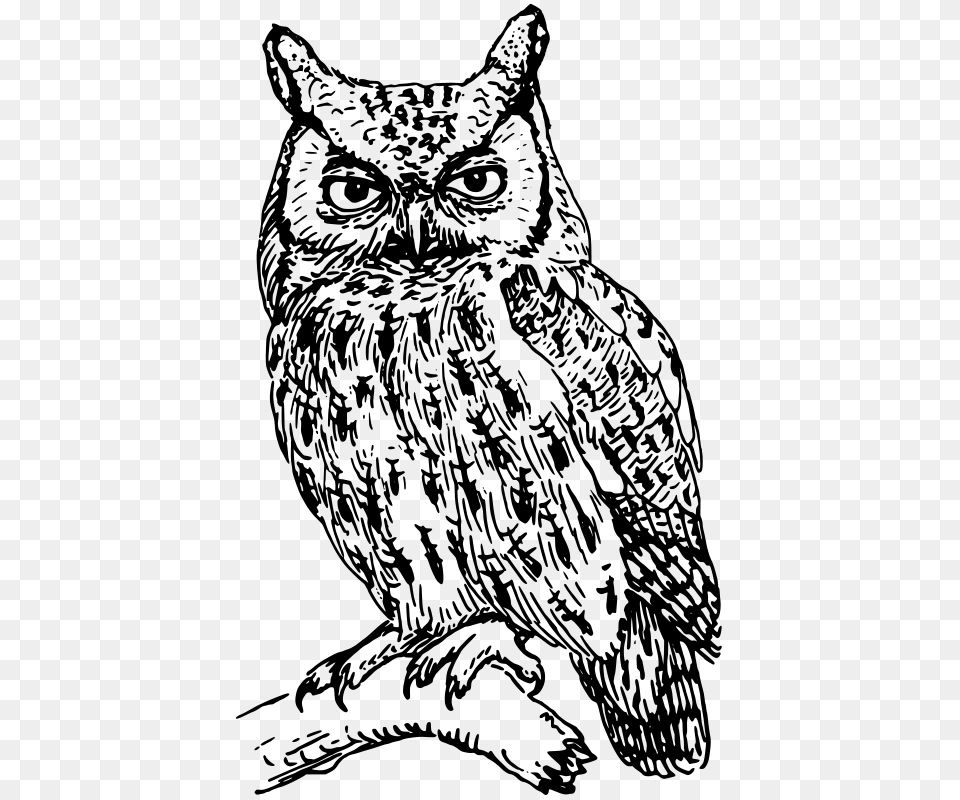 Oksmith Screech Owl, Gray Free Png