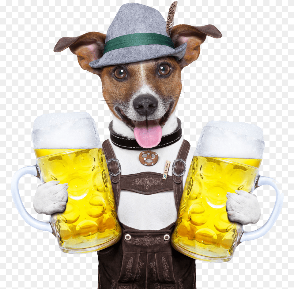 Oktoberfest Cuisine German Photography Dog Beer Holding Happy Birthday Beer Dog, Glass, Alcohol, Beverage, Cup Free Png Download