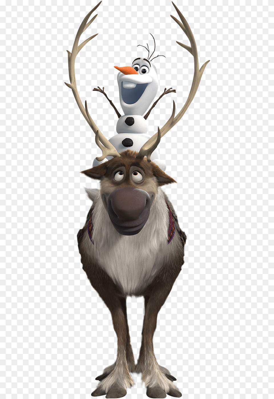 Olaf And Sven, Animal, Deer, Mammal, Wildlife Free Transparent Png
