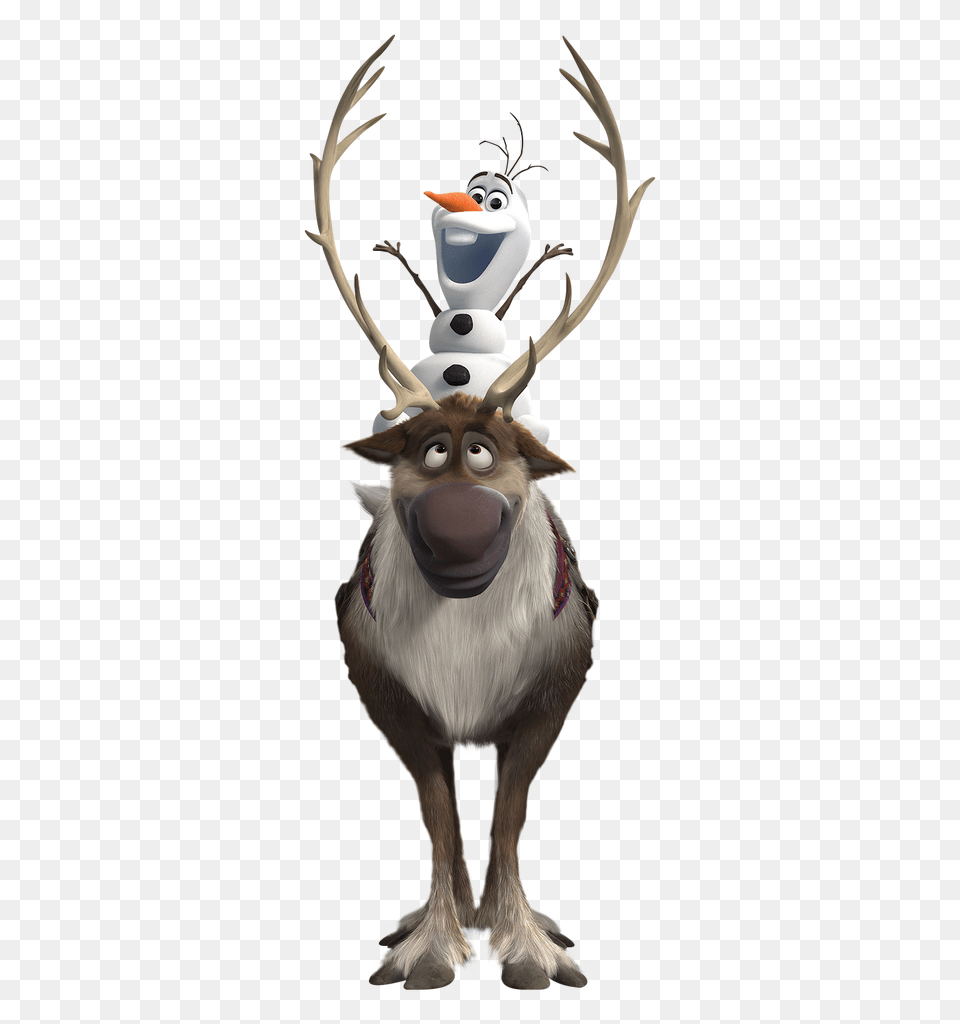Olaf Background, Animal, Deer, Mammal, Wildlife Free Png Download