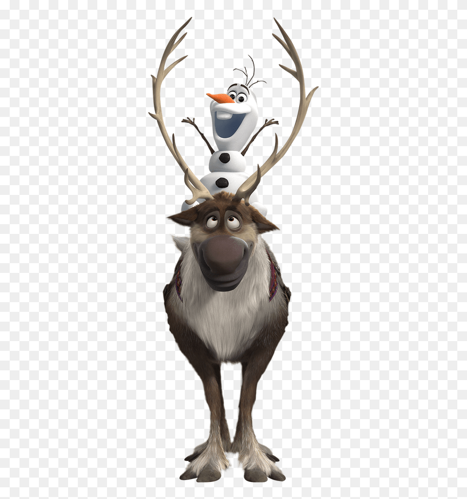 Olaf On Deer, Animal, Mammal, Wildlife, Elk Free Png Download