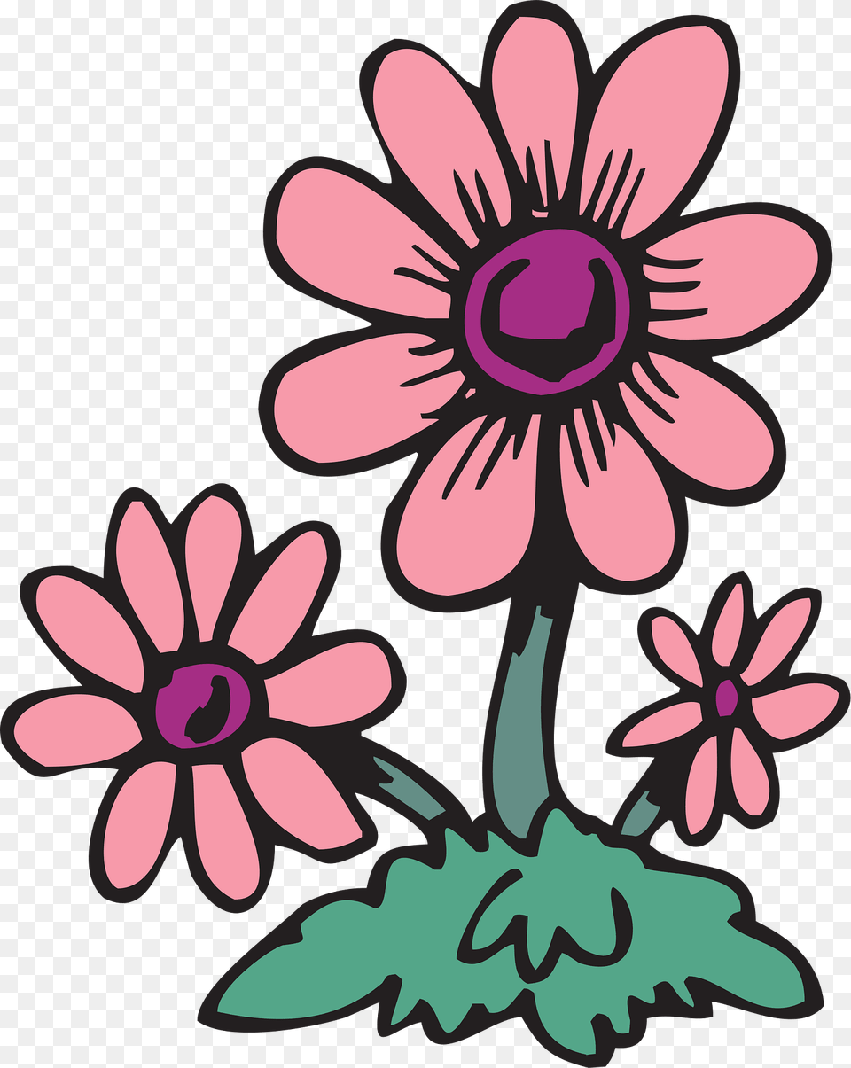 Old Clipart, Art, Daisy, Floral Design, Flower Free Transparent Png