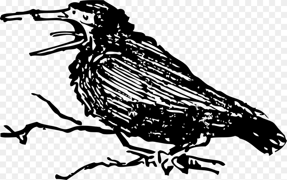 Old Crow Clip Arts Old Crow Bird, Gray Free Png