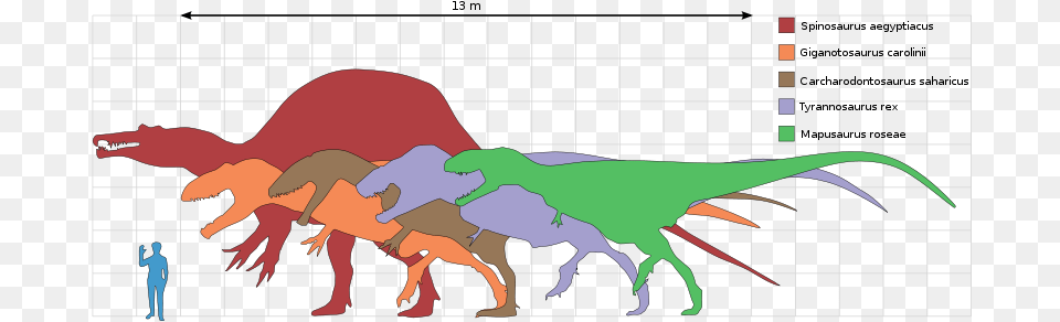 Old Earth Ministries Online Dinosaur Curriculum Spinosaurus, Person, Animal, Reptile, Antelope Free Transparent Png