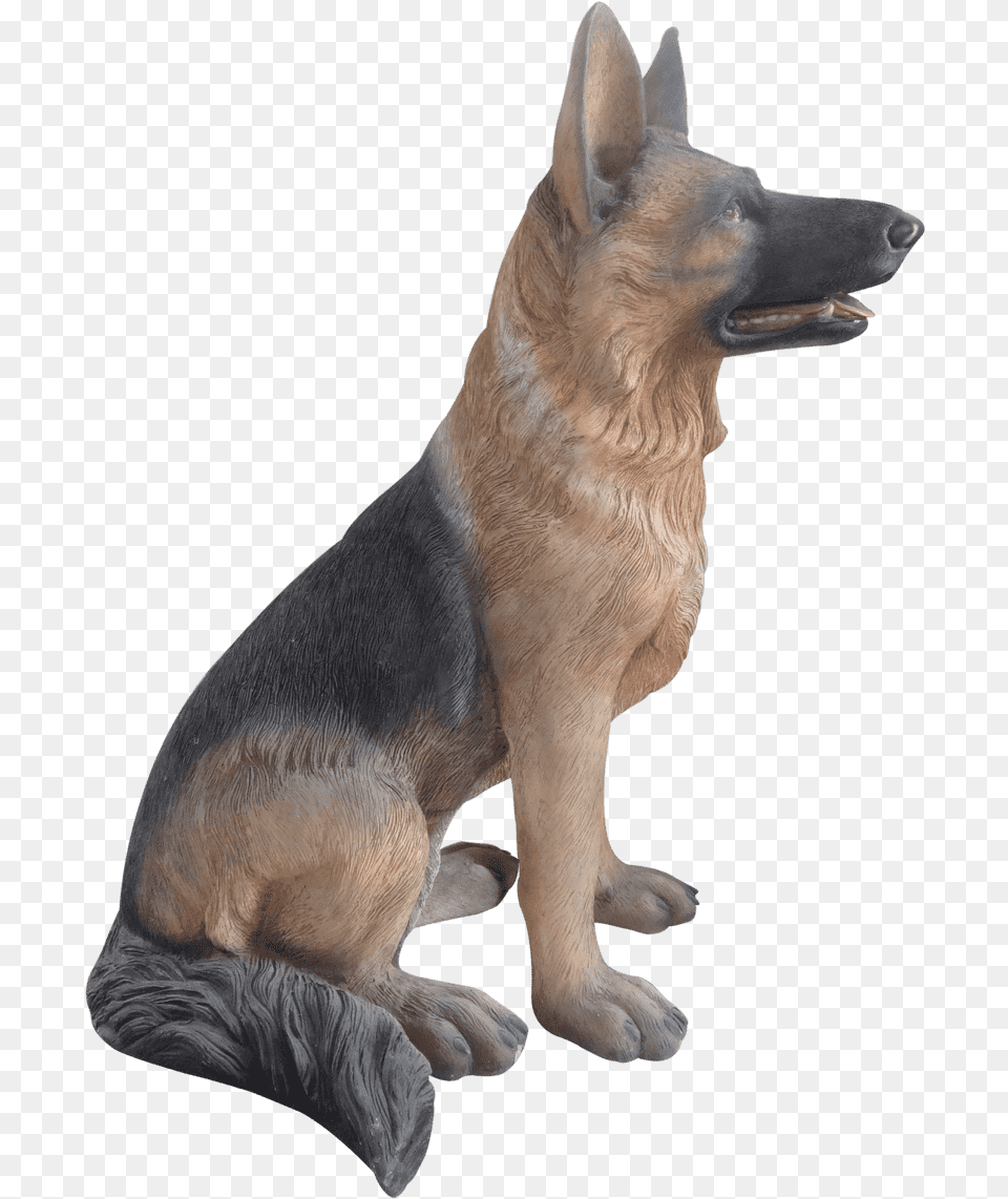 Old German Shepherd Dog, Animal, Kangaroo, Mammal, Canine Free Png Download