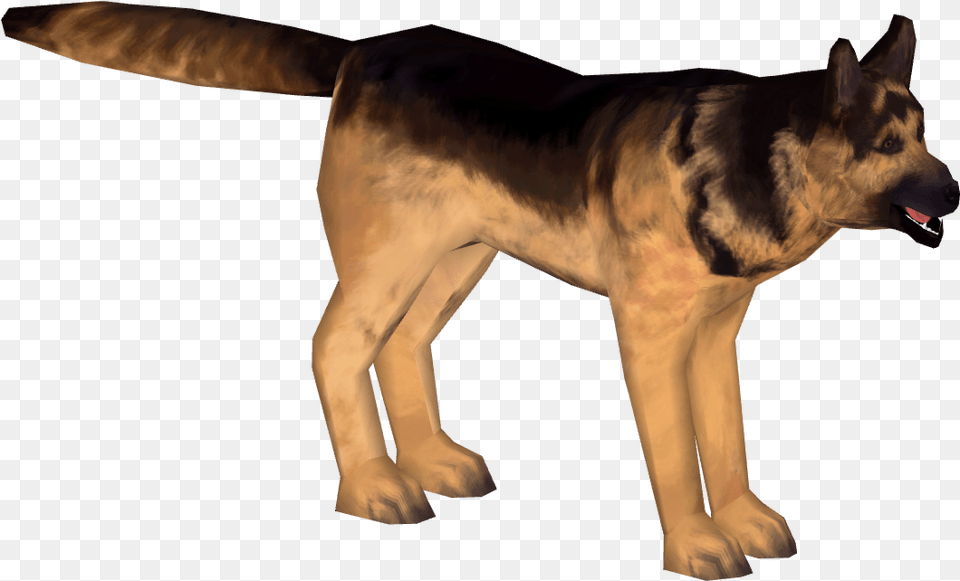 Old German Shepherd Dog, Animal, Canine, German Shepherd, Mammal Free Png