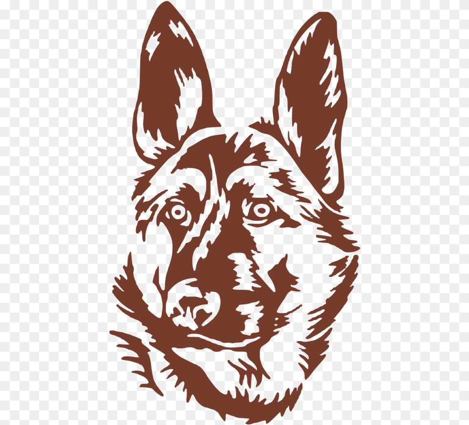 Old German Shepherd Dog, Baby, Person, Face, Head Free Transparent Png