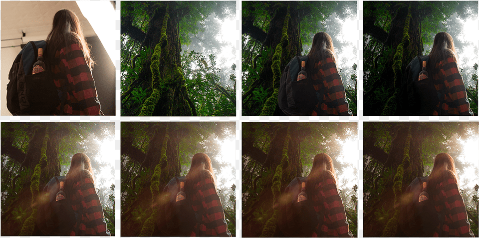 Old Growth Forest, Art, Collage, Fashion, Adult Png