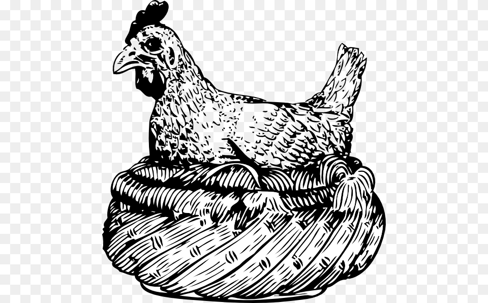 Old Hen In A Basket Svg Clip Arts Hen On A Rock Clipart Black And White, Animal, Bird, Chicken, Fowl Free Png Download