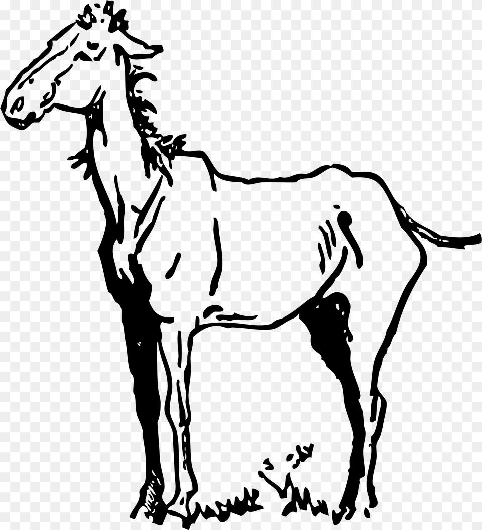 Old Horse Clip Arts Old Horse Clip Art, Gray Free Transparent Png