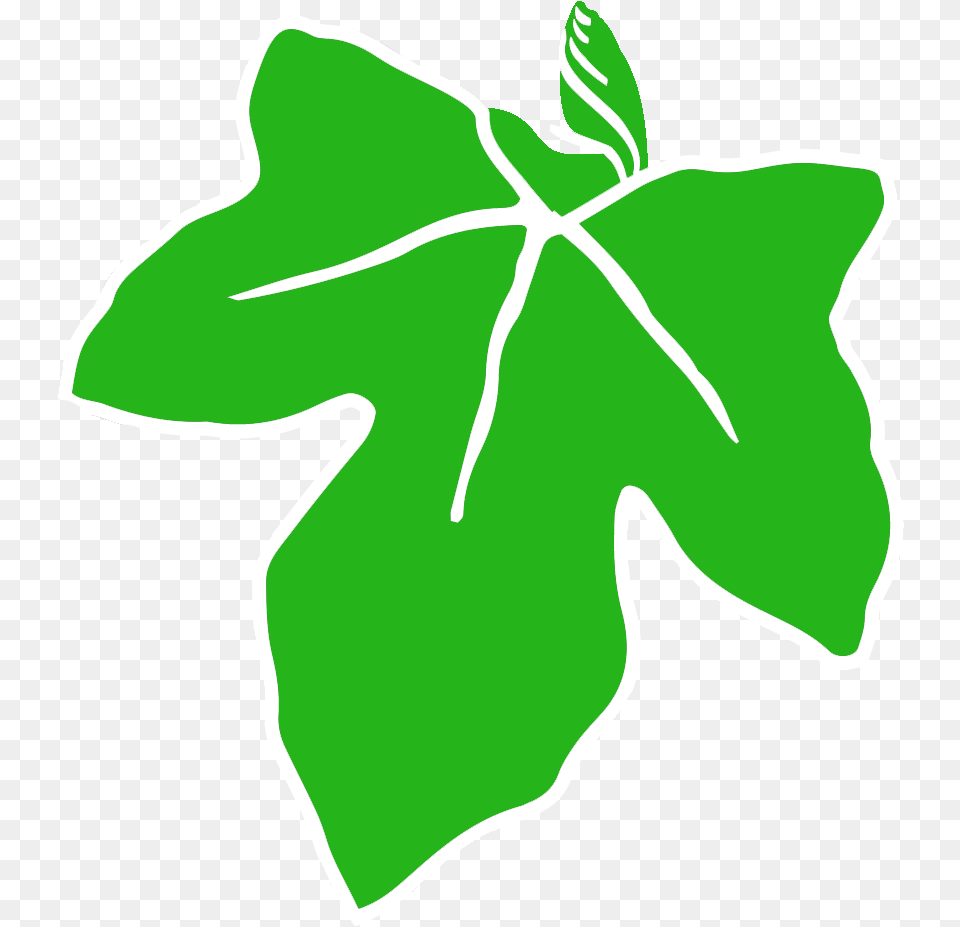 Old Ivy Brewery, Leaf, Plant Png Image