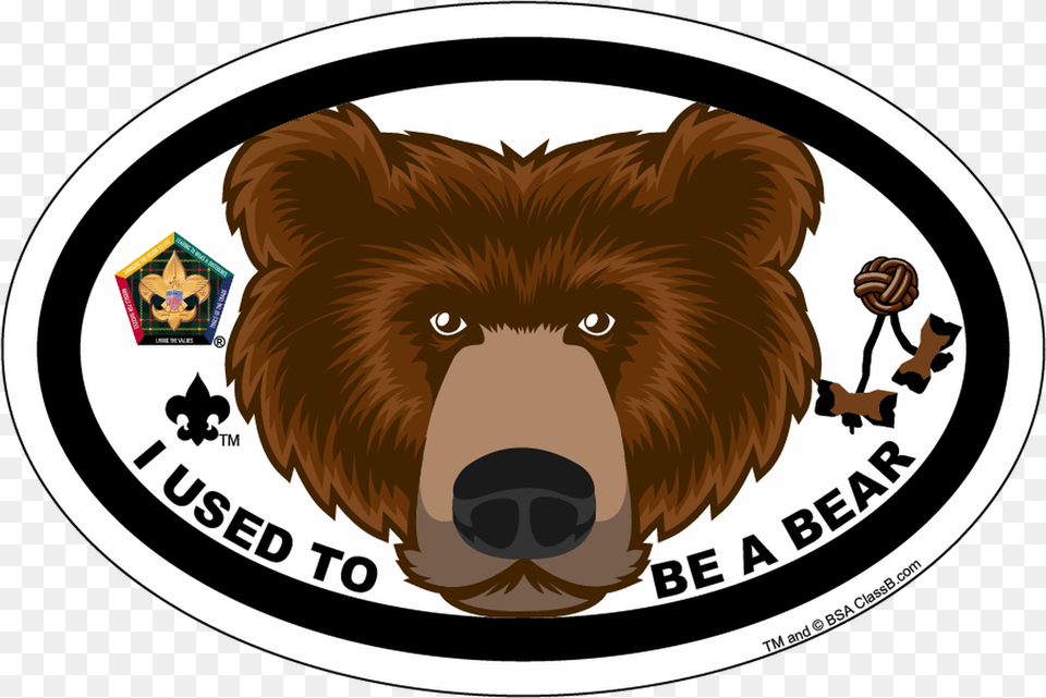 Old Logo Wood Badge Bear Critter Oval Magnet Wood Badge, Baby, Person, Sticker, Animal Free Png Download