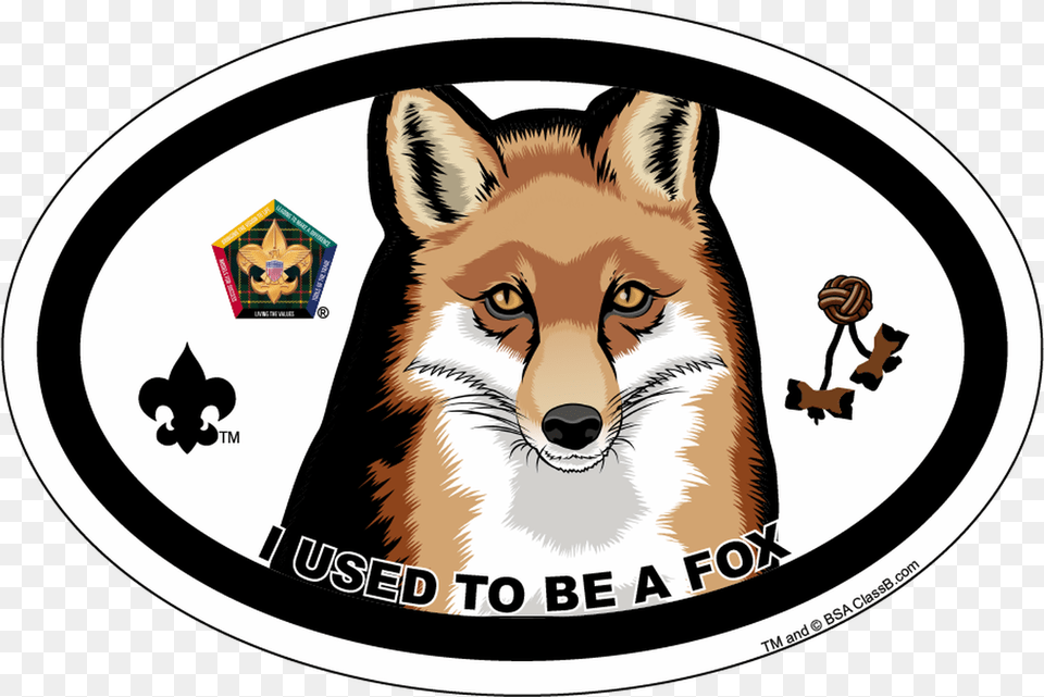 Old Logo Wood Badge Fox Oval Magnet Boy Scouts Of America, Pet, Mammal, Animal, Dog Png Image