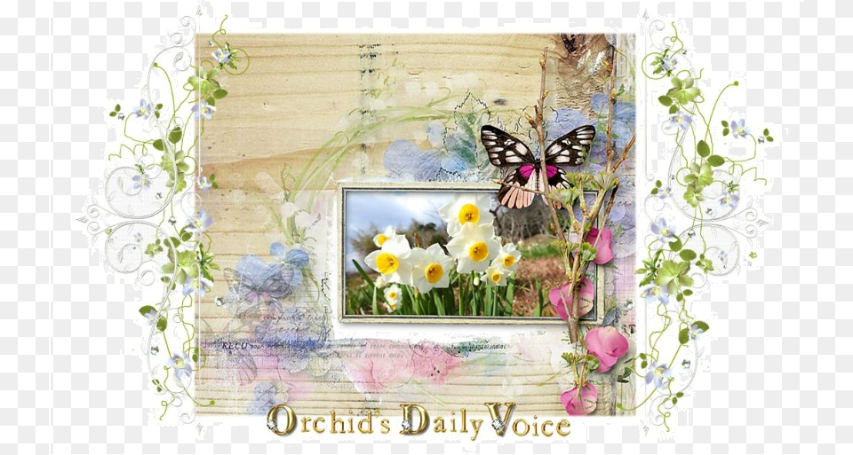 Old Men39s Band And Nature Wild Pansy, Art, Collage, Envelope, Greeting Card Free Png Download