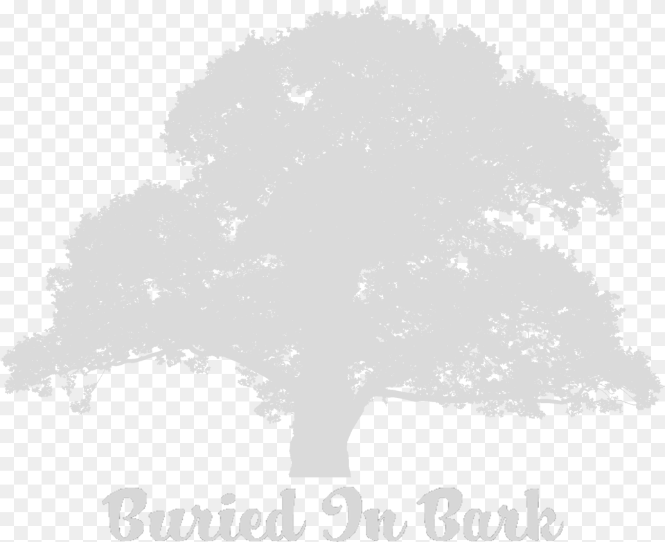 Old Oak Tree Silhouette Illustration, Plant, Stencil, Sycamore Free Png Download