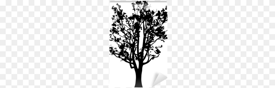 Old Oak Tree Silhouette Isolated On White Wall Mural Oak, Chandelier, Lamp, Plant, Stencil Png Image