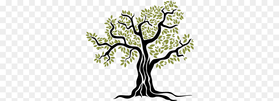 Old Olive Tree Wall Sticker Olive Tree Vector, Art, Pattern, Food Png