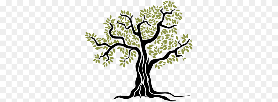 Old Olive Tree Wall Sticker Record Amp Grade Book Teacher Created Resources, Plant, Art, Oak, Animal Free Png
